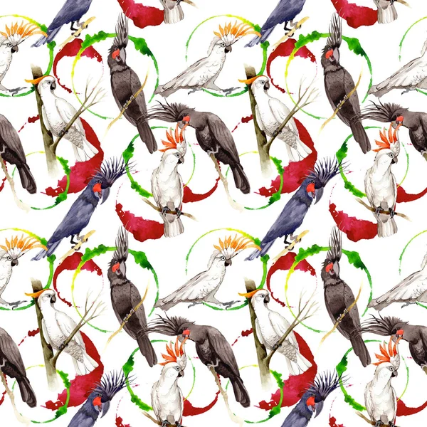 Gökyüzü kuş siyah Amerika papağanı desende bir yaban hayatı suluboya stili tarafından.