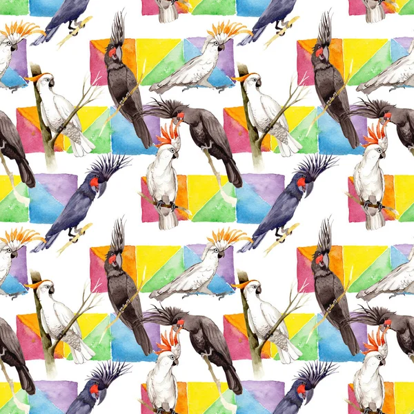 Gökyüzü kuş siyah Amerika papağanı desende bir yaban hayatı suluboya stili tarafından.