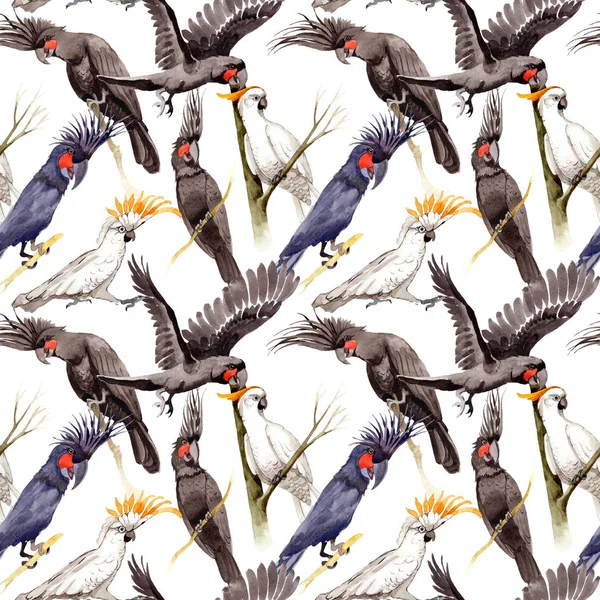 Gökyüzü kuş siyah Amerika papağanı desende bir yaban hayatı suluboya stili tarafından.