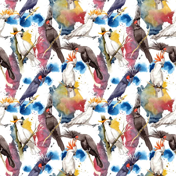 Gökyüzü kuş siyah Amerika papağanı desende bir yaban hayatı suluboya stili tarafından.