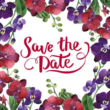 Kır çiçeği orkide çiçek çerçeve suluboya tarzında.