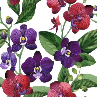 Kır çiçeği orkide çiçek deseni suluboya tarzında.