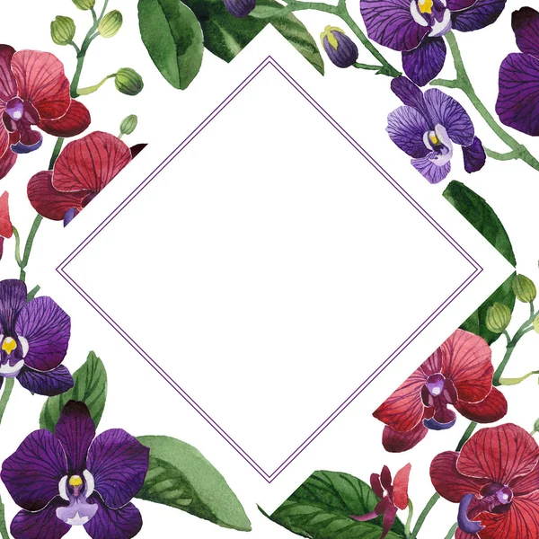 Kır çiçeği orkide çiçek çerçeve suluboya tarzında.