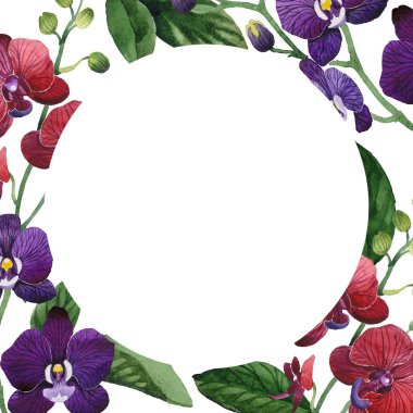 Kır çiçeği orkide çiçek çerçeve suluboya tarzında.