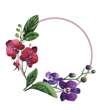 Kır çiçeği orkide çiçek çelenk suluboya tarzında.