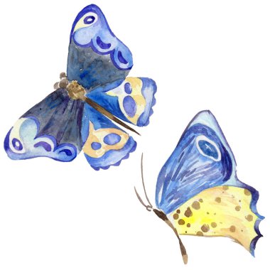 Egzotik kelebek vahşi böcek izole bir suluboya tarzında.