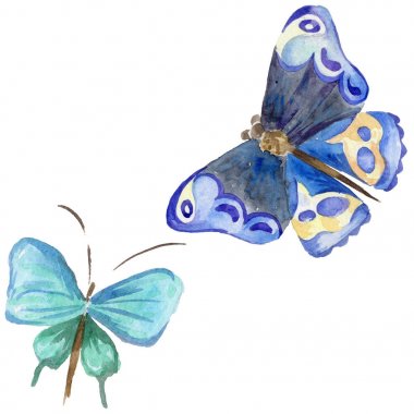 Egzotik kelebek vahşi böcek izole bir suluboya tarzında.