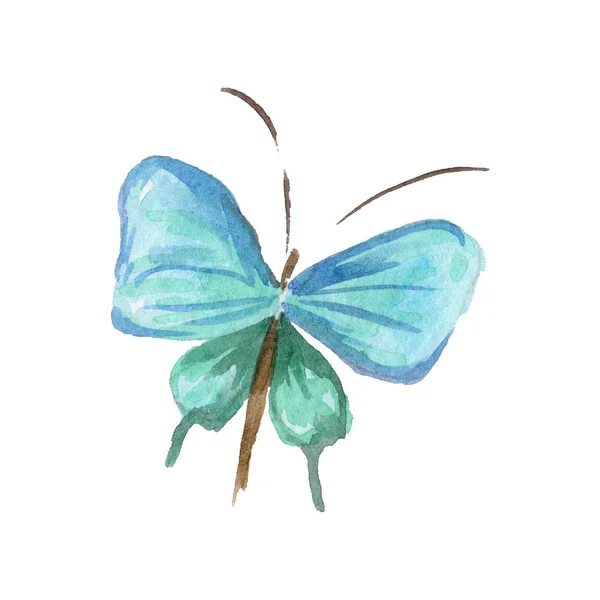 Borboleta exótica inseto selvagem em um estilo aquarela isolado . — Fotografia de Stock