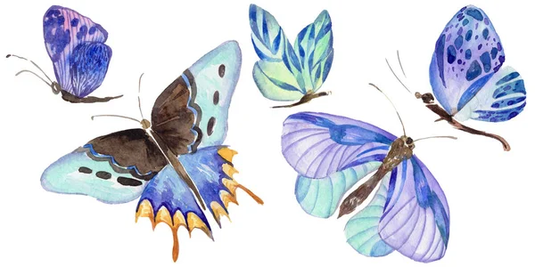 Egzotyczny motyl owad dziki w stylu przypominającym akwarele na białym tle. — Zdjęcie stockowe
