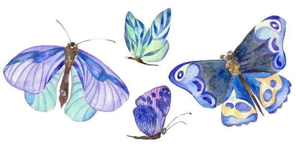 Exotische Schmetterling wildes Insekt in einem Aquarell-Stil isoliert. — Stockfoto