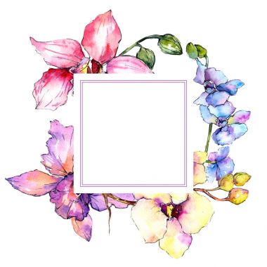 Kır çiçeği orkide çiçek çerçeve suluboya tarzında.