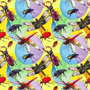 Egzotik böceği vahşi böcek izole bir suluboya tarzında.