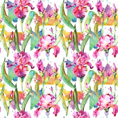 Kır çiçeği Iris çiçek deseni suluboya tarzında.