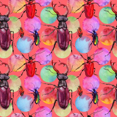 Egzotik böceği vahşi böcek izole bir suluboya tarzında.