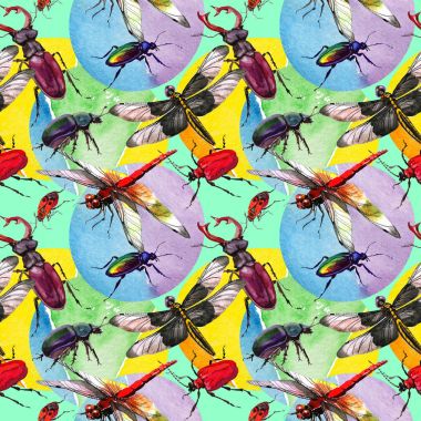 Egzotik böceği vahşi böcek izole bir suluboya tarzında.