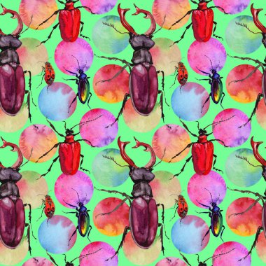 Egzotik böceği vahşi böcek izole bir suluboya tarzında.