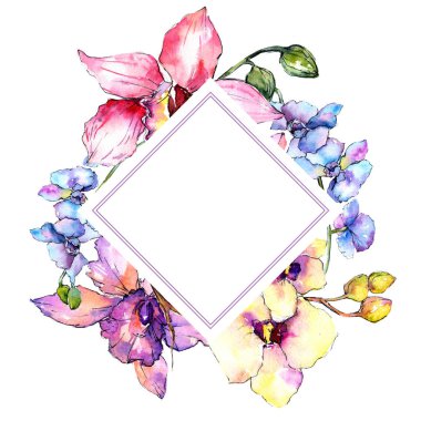 Kır çiçeği orkide çiçek çerçeve suluboya tarzında.