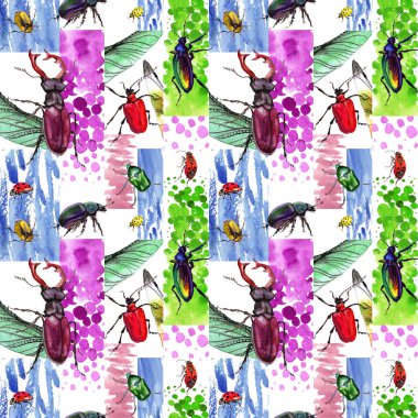 Egzotik böceği vahşi böcek izole bir suluboya tarzında.