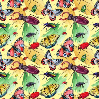 Egzotik böceği vahşi böcek izole bir suluboya tarzında.