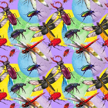 Egzotik böceği vahşi böcek izole bir suluboya tarzında.