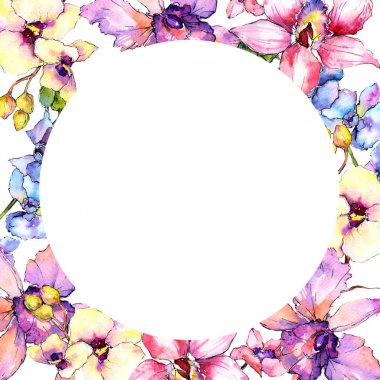 Kır çiçeği orkide çiçek çerçeve suluboya tarzında.