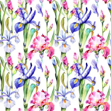 Kır çiçeği Iris çiçek deseni suluboya tarzında.