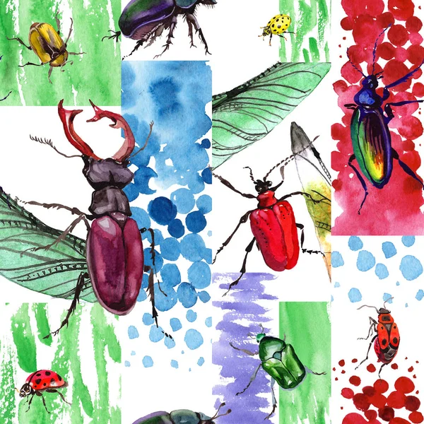 Insecte sauvage de scarabée exotique dans un style aquarelle isolé . — Photo