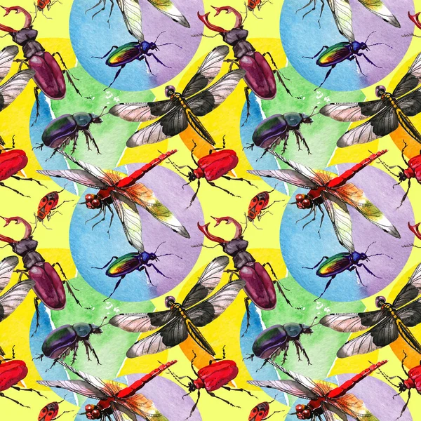 Egzotik böceği vahşi böcek izole bir suluboya tarzında.