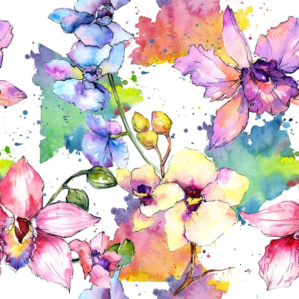 Modèle de fleur d'orchidée de fleur sauvage dans un style d'aquarelle . — Photo