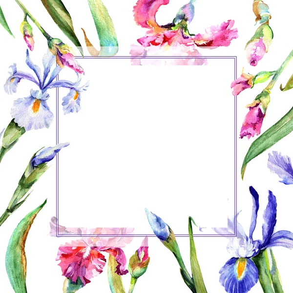 Cadre fleur iris fleur sauvage dans un style aquarelle . — Photo