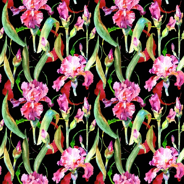 Wildflower iris květinový vzor ve stylu akvarelu. — Stock fotografie