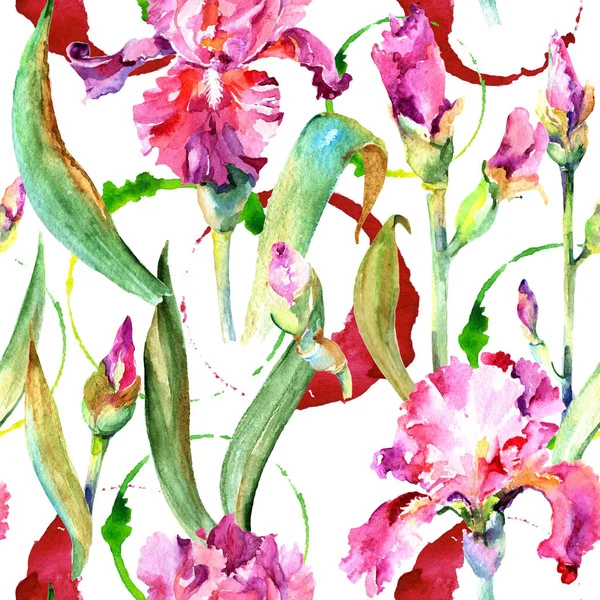 Kır çiçeği Iris çiçek deseni suluboya tarzında.