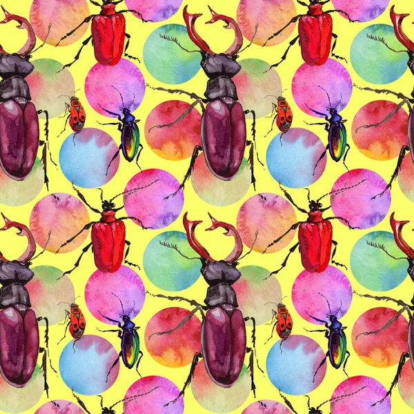 Egzotik böceği vahşi böcek izole bir suluboya tarzında.