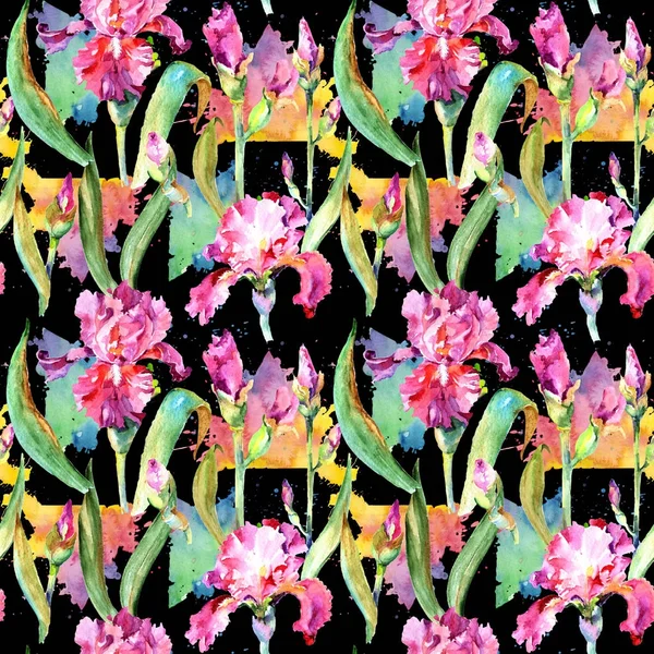 Kır çiçeği Iris çiçek deseni suluboya tarzında.