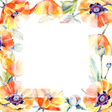 Kır çiçeği haşhaş çiçek çerçeve suluboya tarzında.