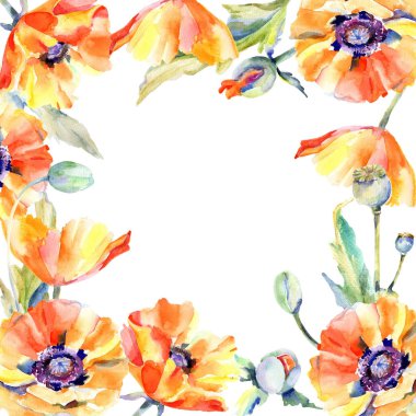 Kır çiçeği haşhaş çiçek çerçeve suluboya tarzında.