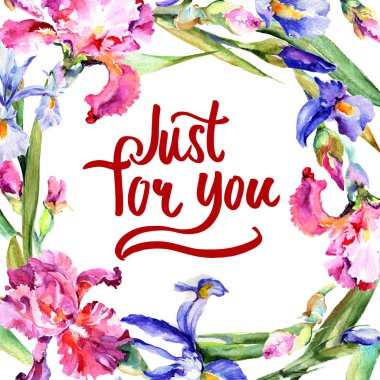 Kır çiçeği Iris çiçek çerçeve suluboya tarzında.