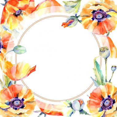 Kır çiçeği haşhaş çiçek çerçeve suluboya tarzında.