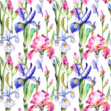 Kır çiçeği Iris çiçek deseni suluboya tarzında.