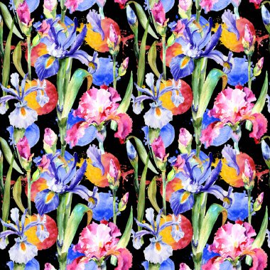 Kır çiçeği Iris çiçek deseni suluboya tarzında.