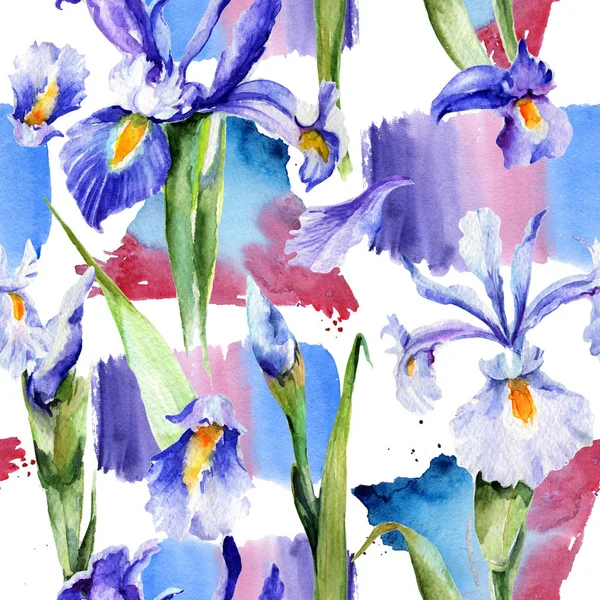 Wildflower iris květinový vzor ve stylu akvarelu. — Stock fotografie