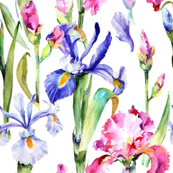 Modello di fiore di iris Wildflower in stile acquerello . — Foto Stock