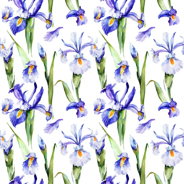 Wildblumen-Iris-Blumenmuster im Aquarell-Stil. — Stockfoto