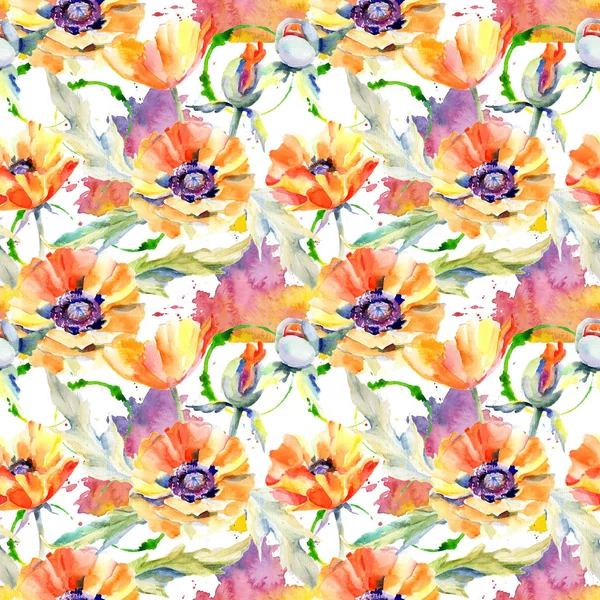 Motif de fleur de pavot de fleur sauvage dans un style aquarelle . — Photo