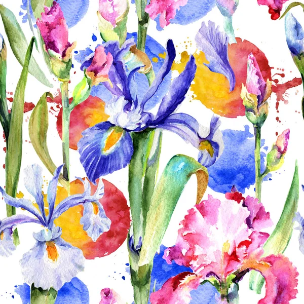 Modèle de fleur d'iris de fleur sauvage dans un style aquarelle . — Photo