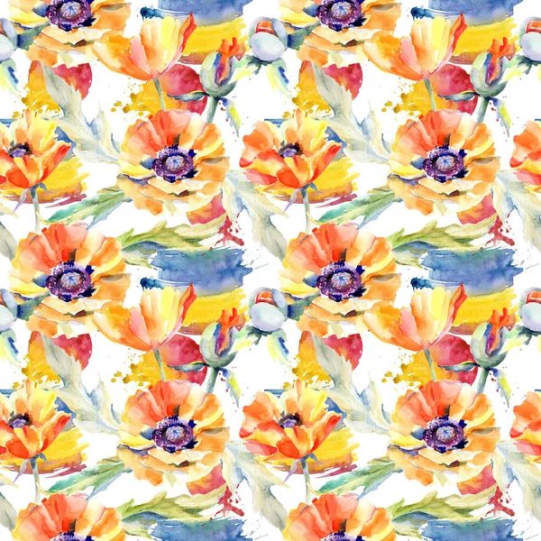 Kır çiçeği haşhaş çiçek deseni suluboya tarzında.