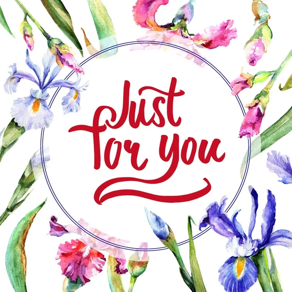 Kır çiçeği Iris çiçek çerçeve suluboya tarzında.