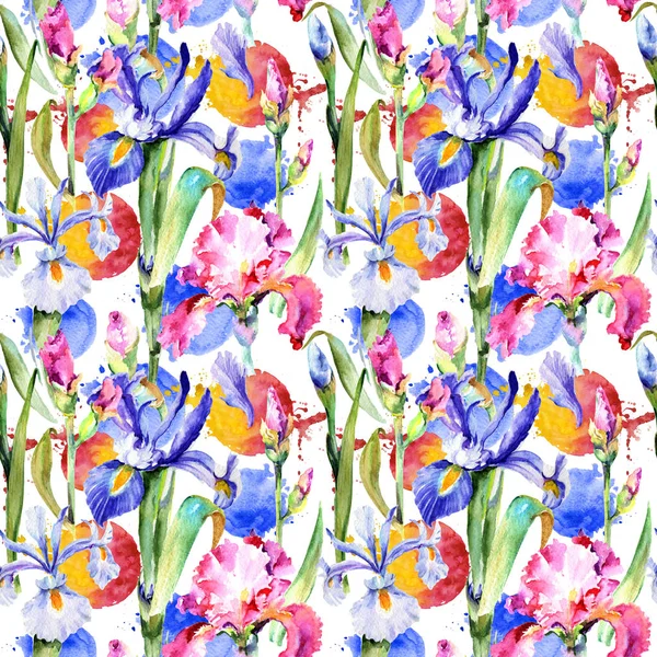 Wildblumen-Iris-Blumenmuster im Aquarell-Stil. — Stockfoto