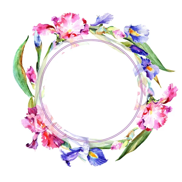 Kır çiçeği Iris çiçek çerçeve suluboya tarzında.
