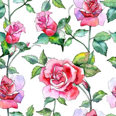 Kır çiçeği gül çiçek deseni suluboya tarzında.